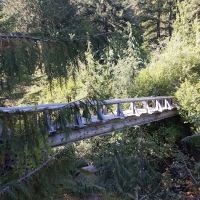 North Puyallup River Camp ico