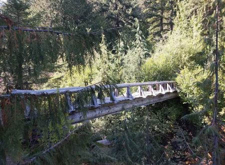 North Puyallup River Camp