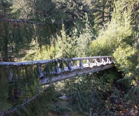 North Puyallup River Camp