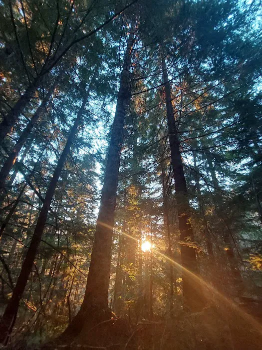 North Puyallup River Camp Picture 10