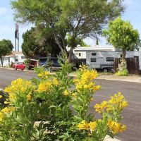RV Park USA ico