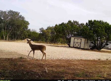 Cedar Creek RV Park