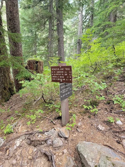 South Puyallup River Camp Picture 2