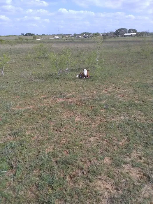 Windmill RV ParkLLC Picture 7