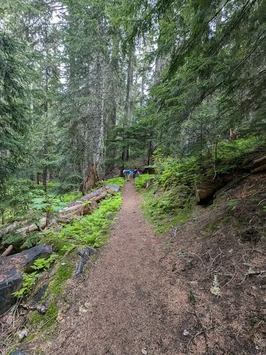 White River Campground Picture 1