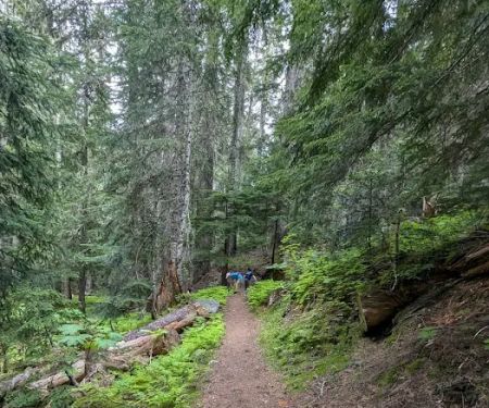 White River Campground