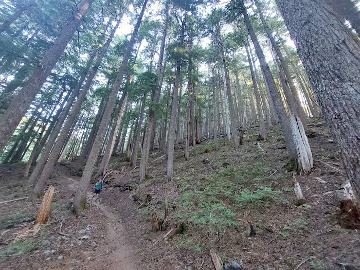 Devil's Dream Camp Picture 1