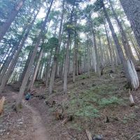 Devil's Dream Camp ico