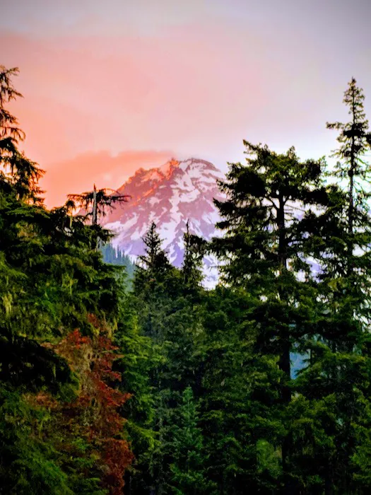 Cougar Rock Campground Picture 6