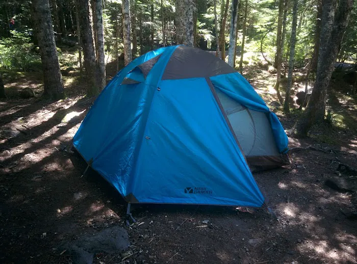 Cougar Rock Campground Picture 4