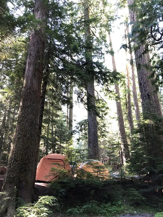 Cougar Rock Campground Picture 7