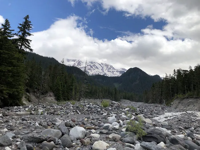 Cougar Rock Campground Picture 5