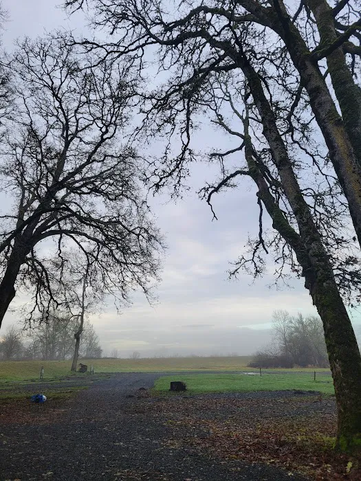 Oak Grove Camping Area Picture 6