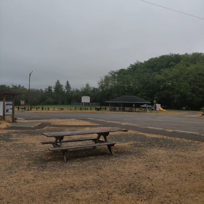 Friends Landing-Camping Picture 7