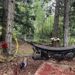 Hipcamp: “ 7 Acres Of Heaven “