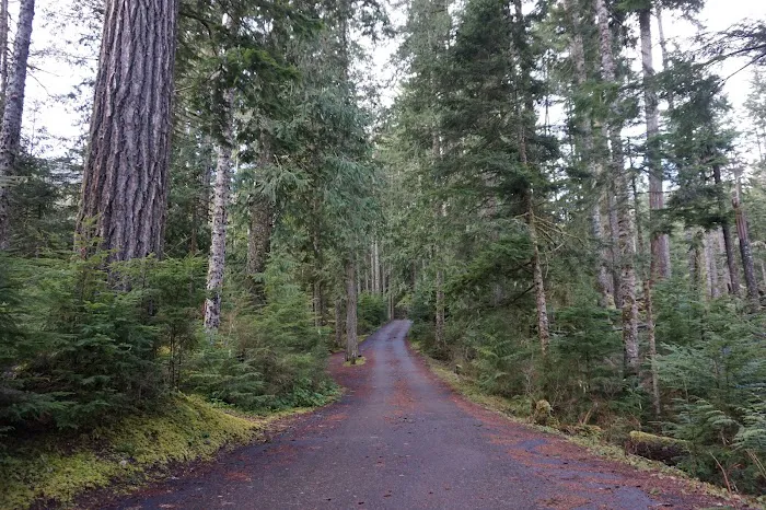Heart O' the Hills Campground Picture 2