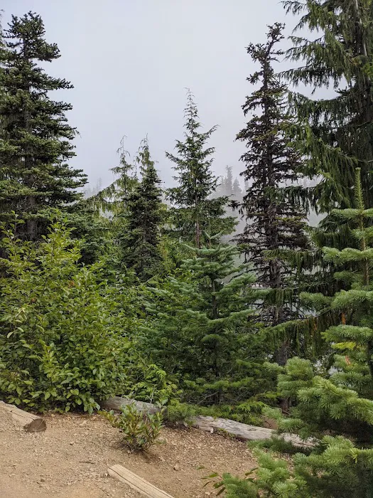 Lake Angeles Campground Picture 7
