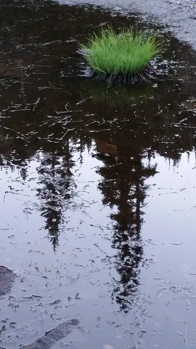 Gladys Lake Picture 3