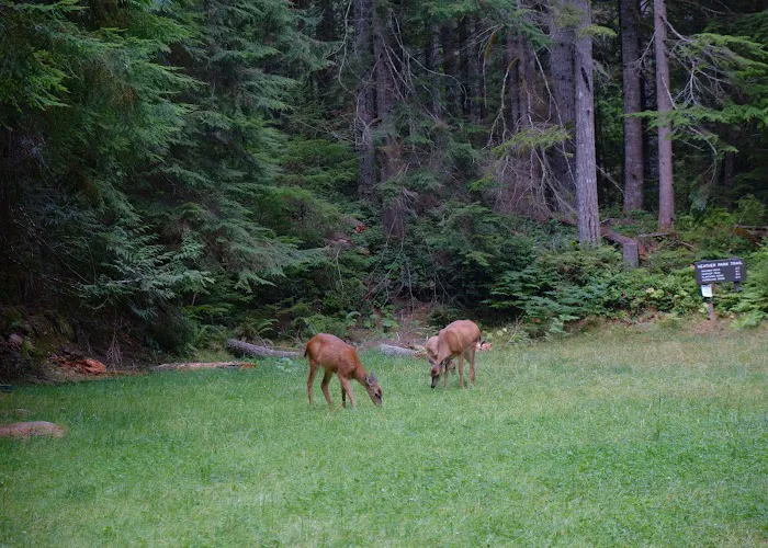 Heather Park Picture 4