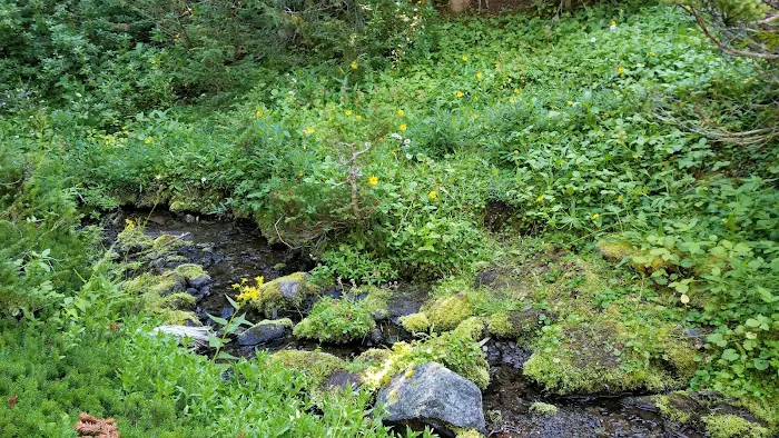Heather Park Picture 8