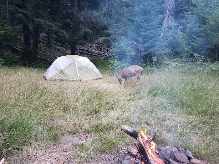 Humes Ranch Picture 4