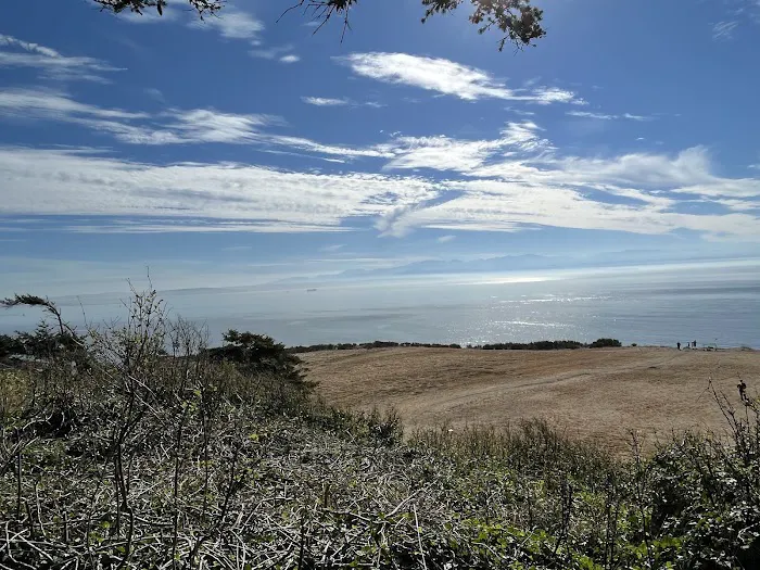 Fort Ebey State Park Campground Picture 2