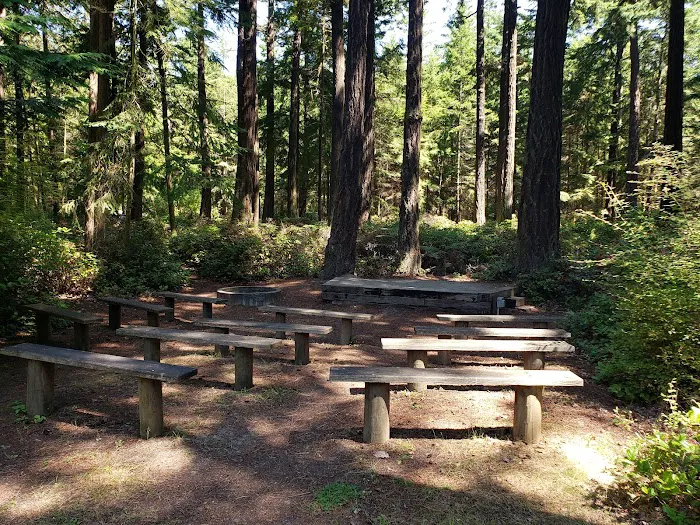 Fort Ebey State Park Campground Picture 1