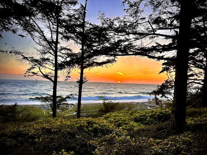 Fort Ebey State Park Campground Picture 5