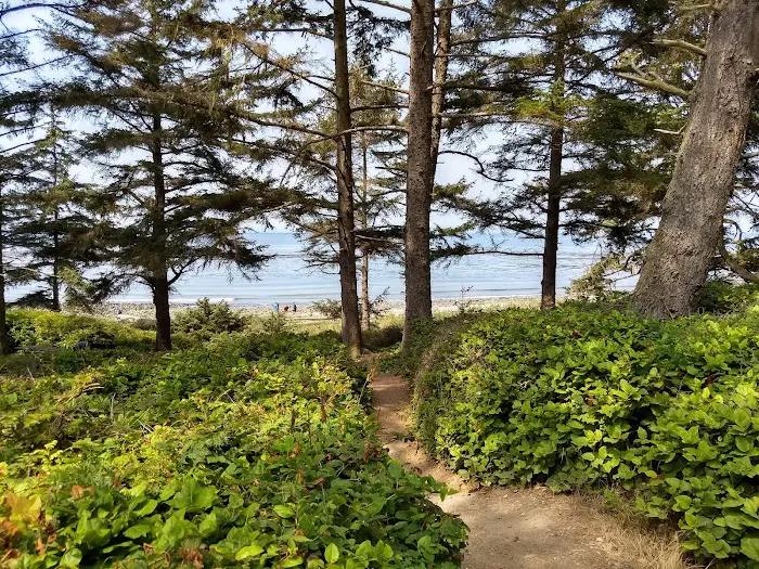 Fort Ebey State Park Campground Picture 4