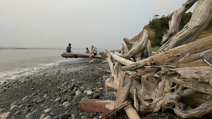Fort Ebey State Park Campground Picture 8