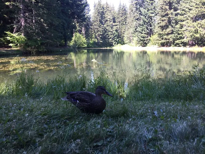 Lake Sena Campground @ Circle 8 Ranch Picture 6