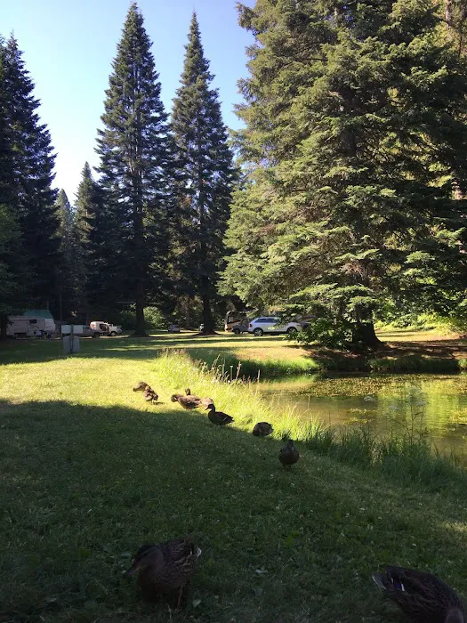 Lake Sena Campground @ Circle 8 Ranch Picture 9