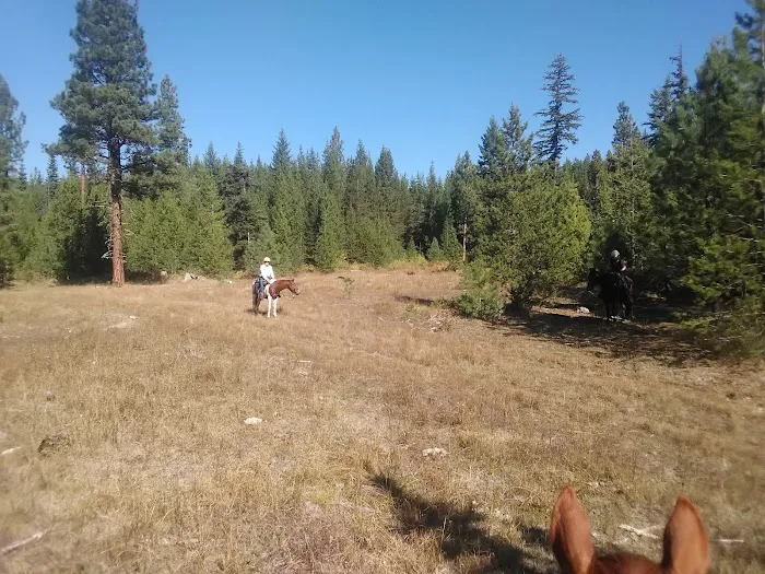 Indian Camp Campground Picture 1