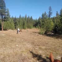 Indian Camp Campground ico