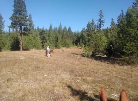 Indian Camp Campground