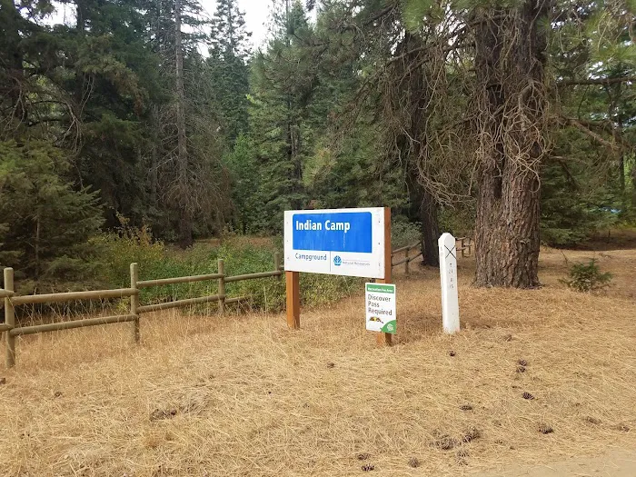 Indian Camp Campground Picture 6