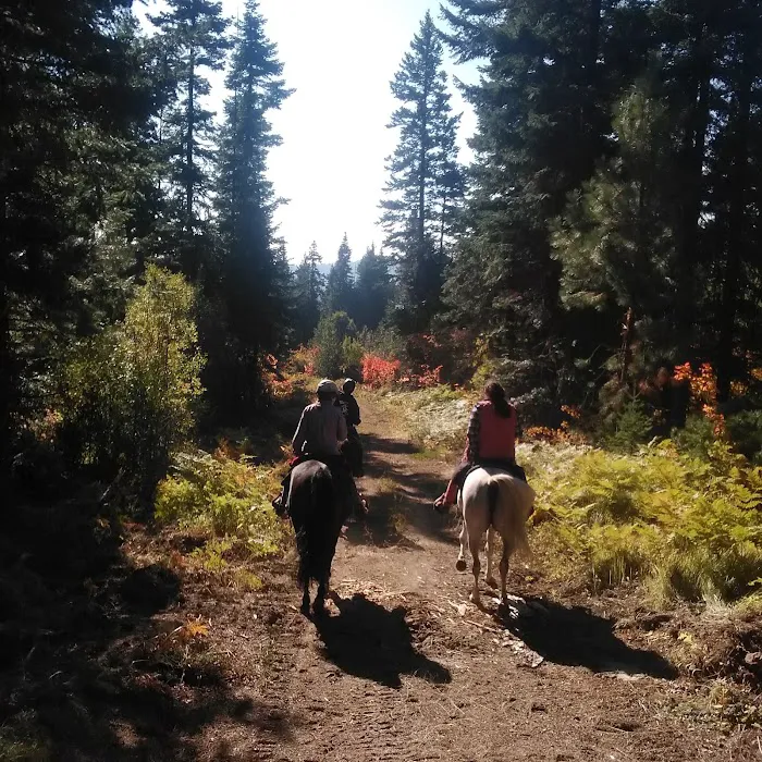 Indian Camp Campground Picture 5