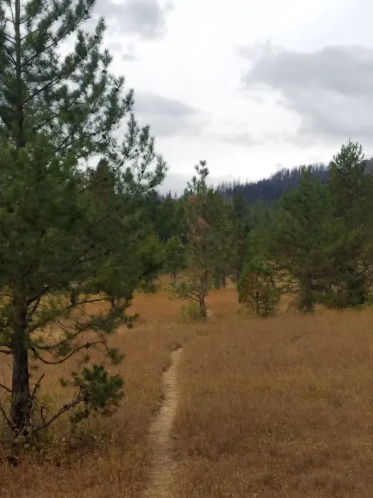 Indian Camp Campground Picture 7