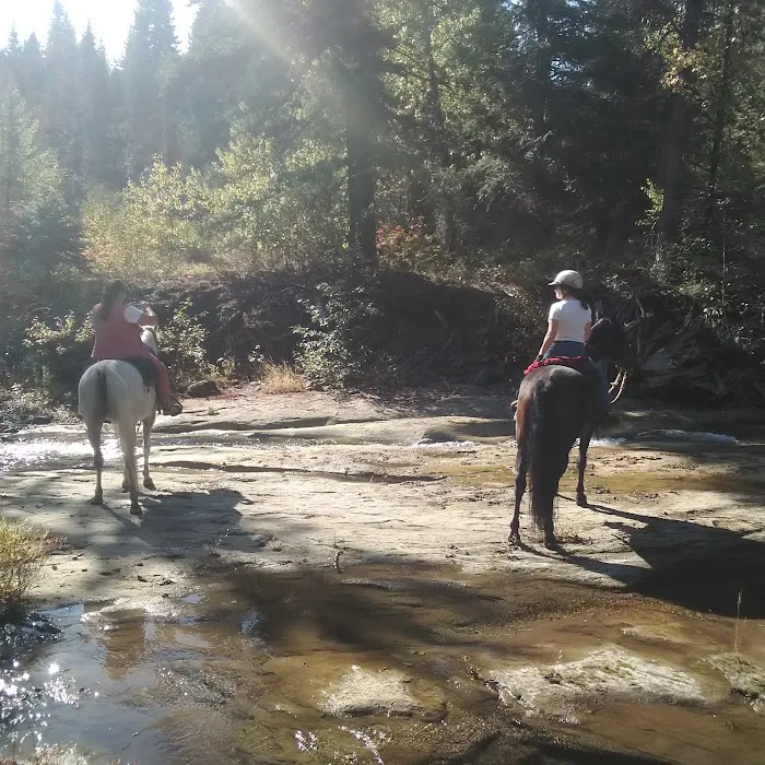 Indian Camp Campground Picture 9