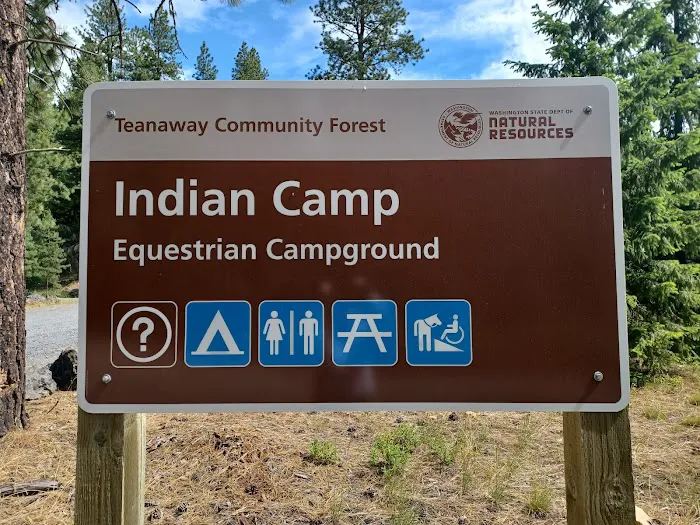 Indian Camp Campground Picture 8