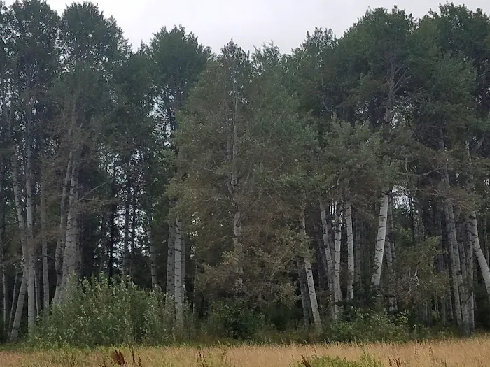 Indian Camp Campground Picture 10