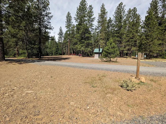 Teanaway Campground Picture 2