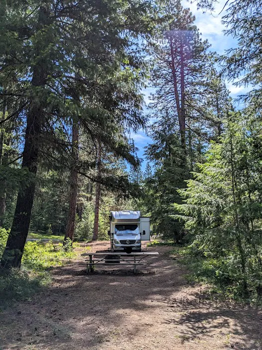 Teanaway Campground Picture 3