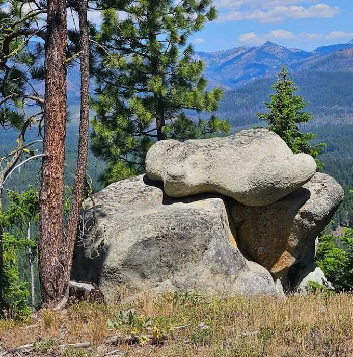 Teanaway Campground Picture 4