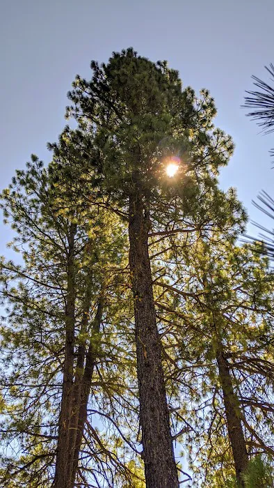Teanaway Campground Picture 5