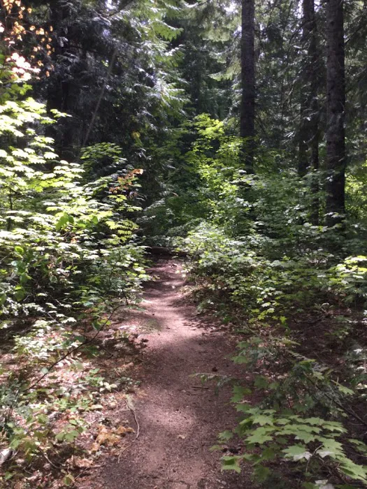 Grasshopper Meadows Campground Picture 4