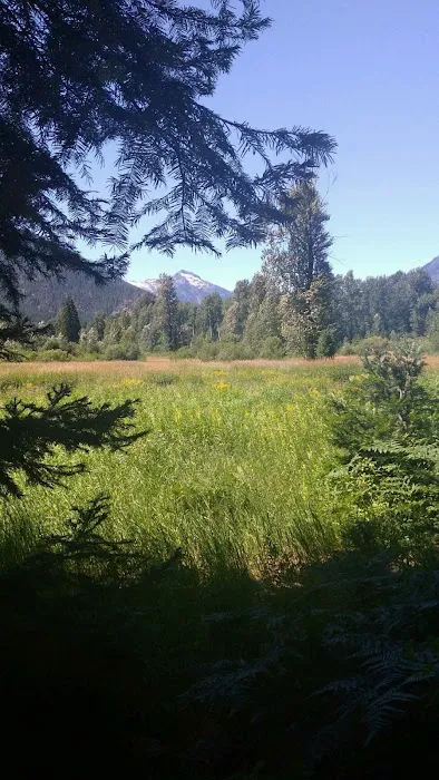 Grasshopper Meadows Campground Picture 3