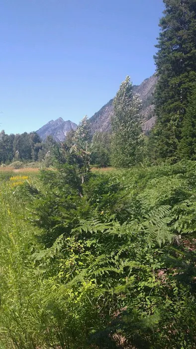 Grasshopper Meadows Campground Picture 8