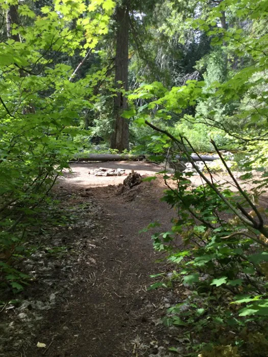Grasshopper Meadows Campground Picture 7
