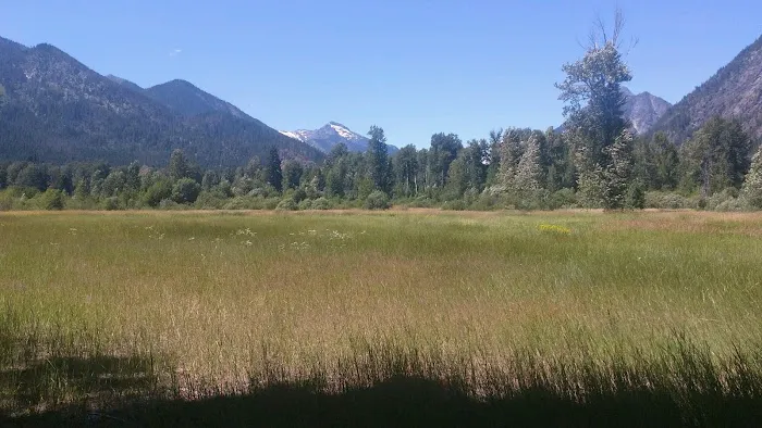 Grasshopper Meadows Campground Picture 10